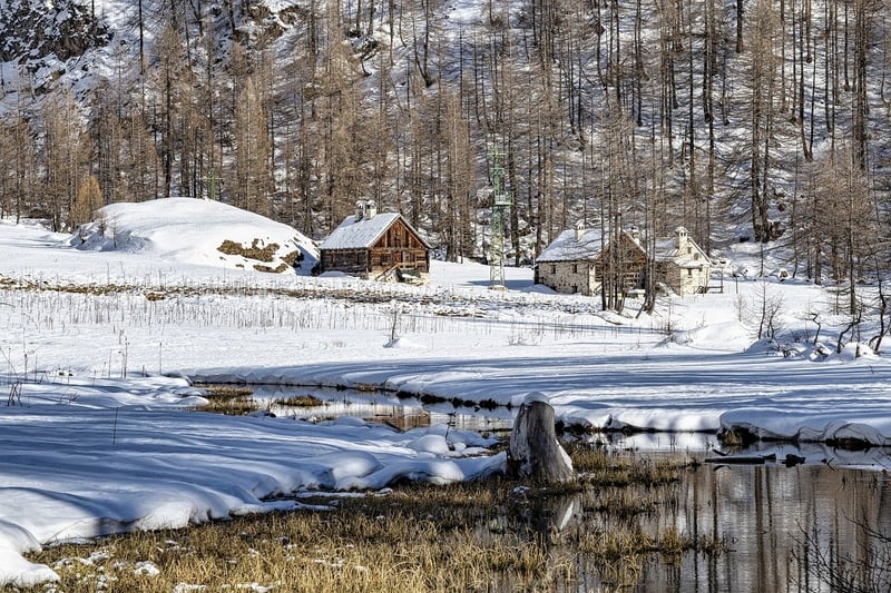 Wilderness Cabin